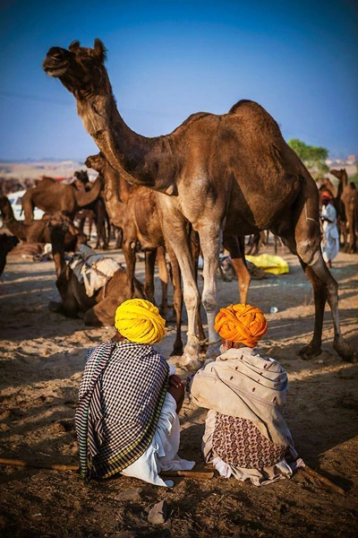 Pushkar