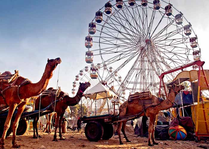 Travel Tips for Visiting Rajasthan in Summer/Winter